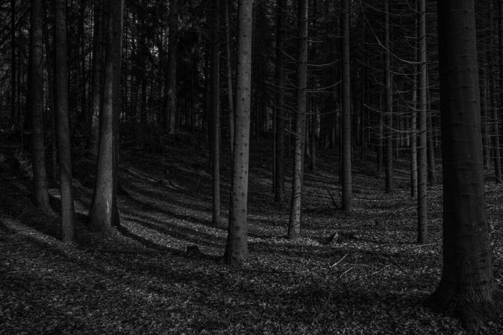 Photo par Christian Keybets sur Unsplash.